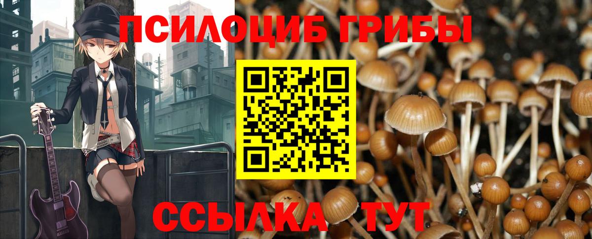 Псилоцибиновые грибы Psilocybine cubensis  где купить наркотик  Ефремов  Псилоцибиновые грибы ЛСД  Вход с VPN 